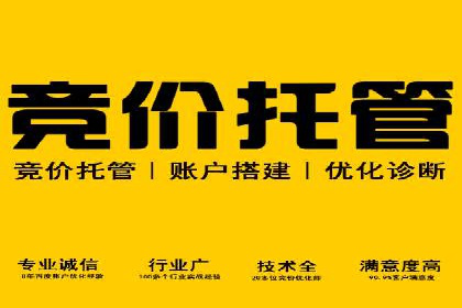 某电商平台sem竞价运营的突破与挑战